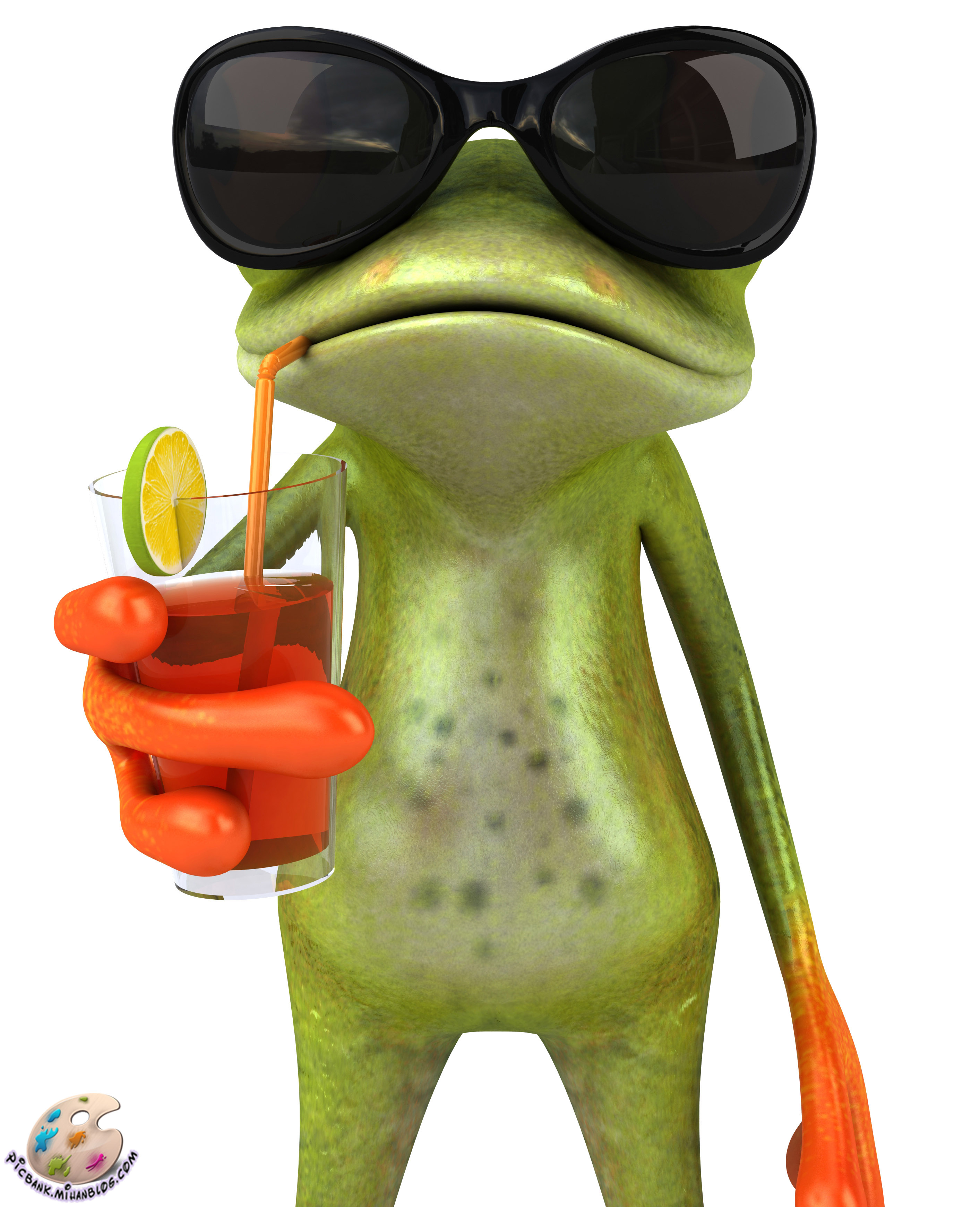 Funny Frogs Wallpapers