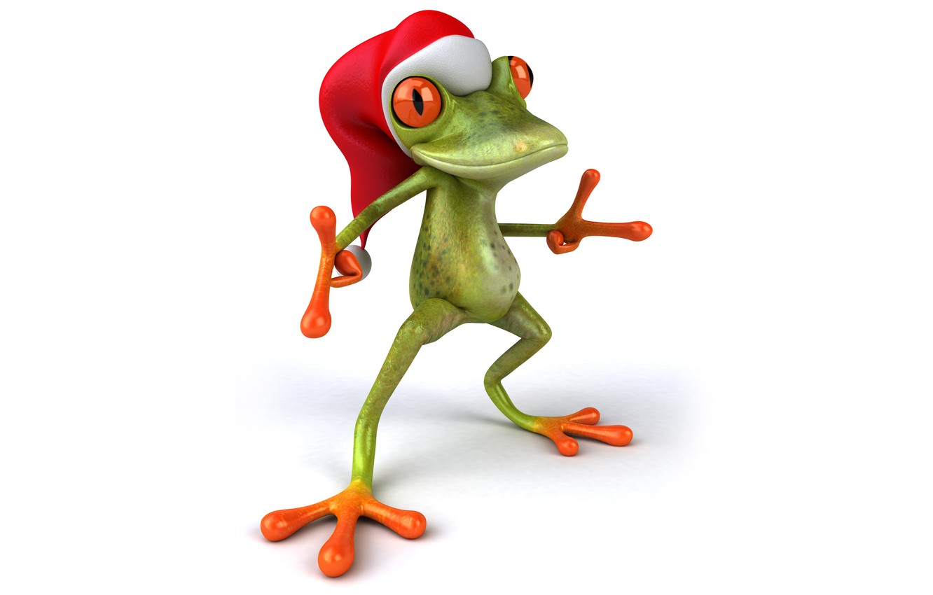 Funny Frogs Wallpapers