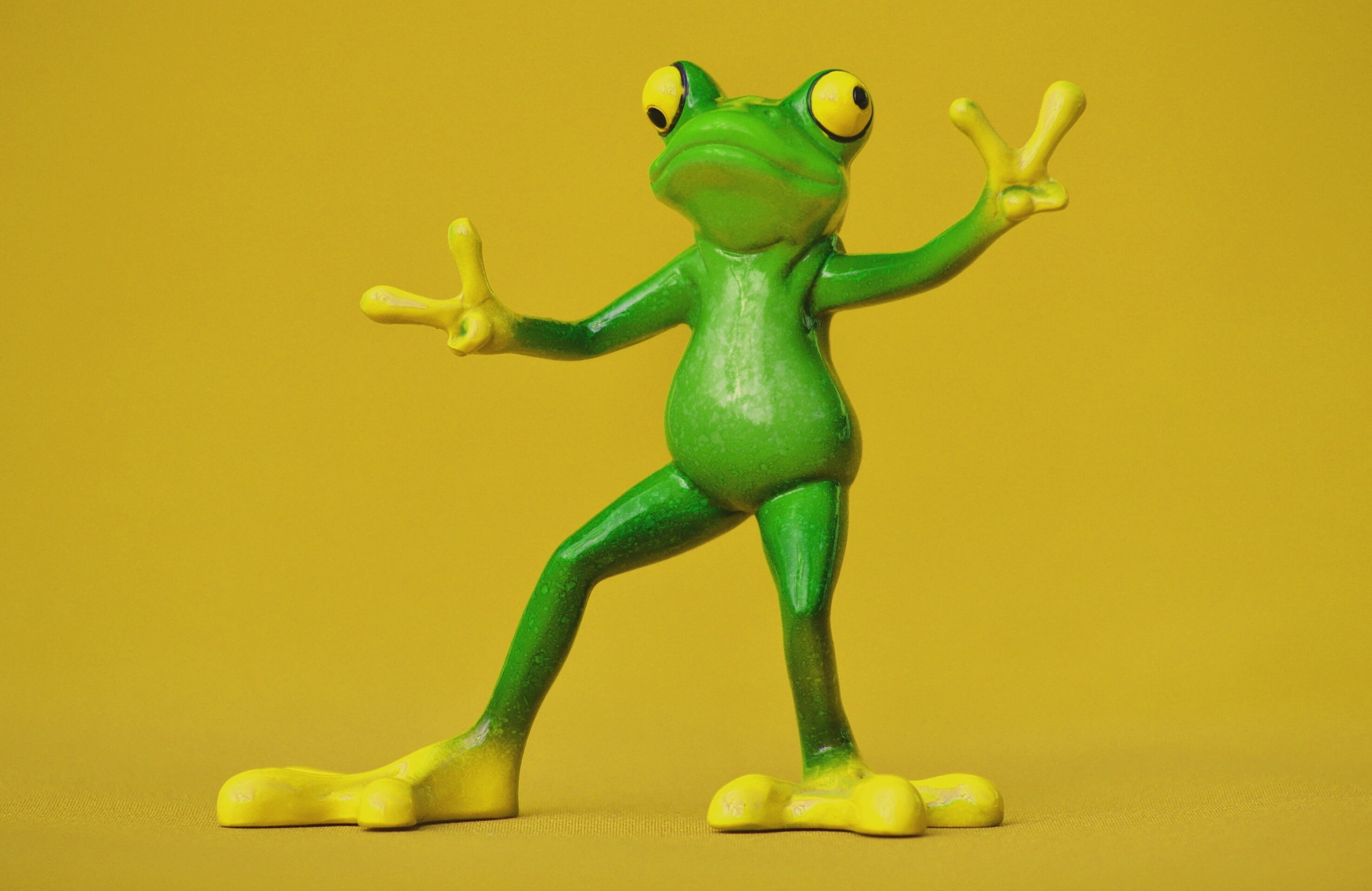 Funny Frogs Wallpapers