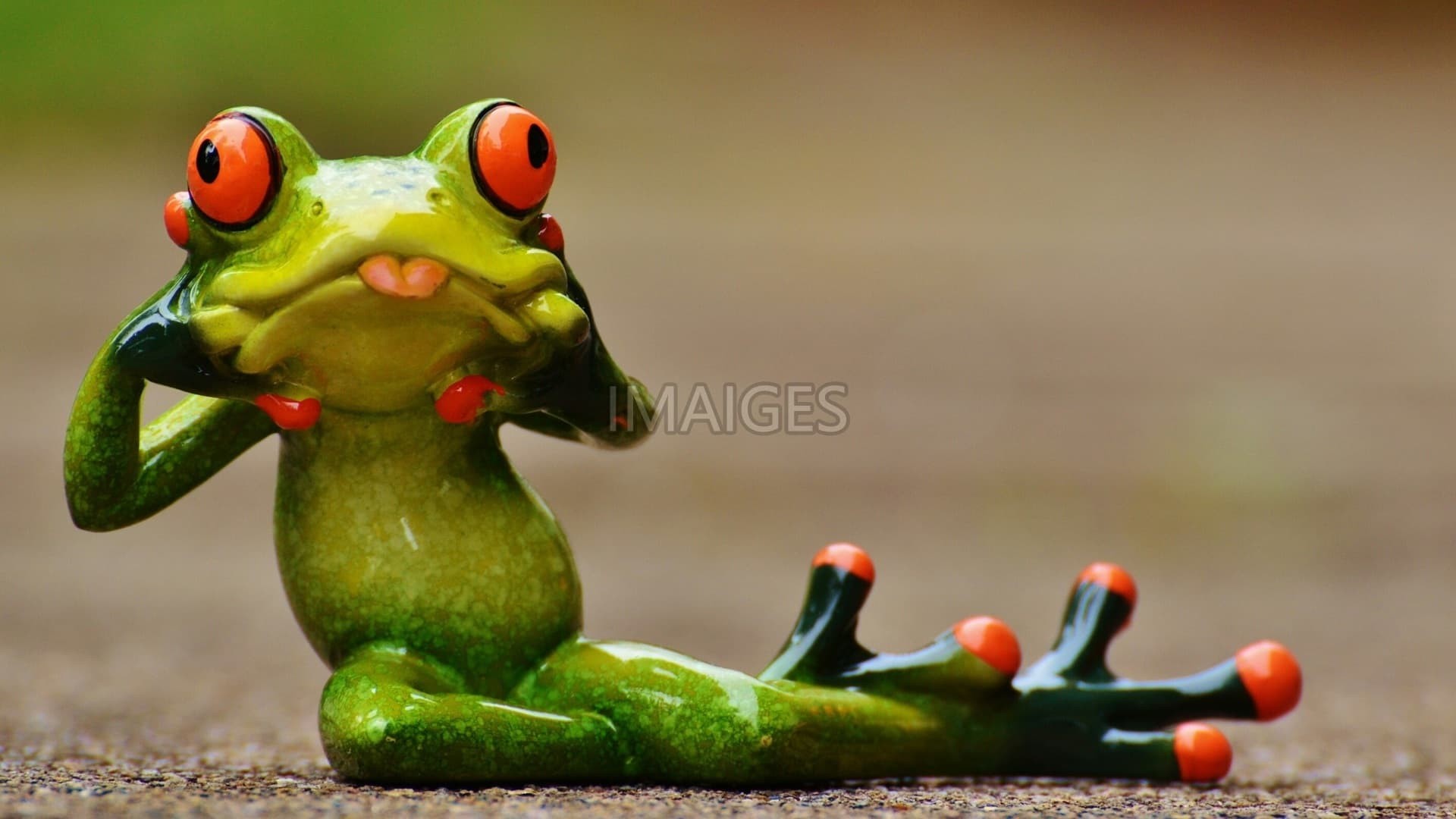 Funny Frogs Wallpapers