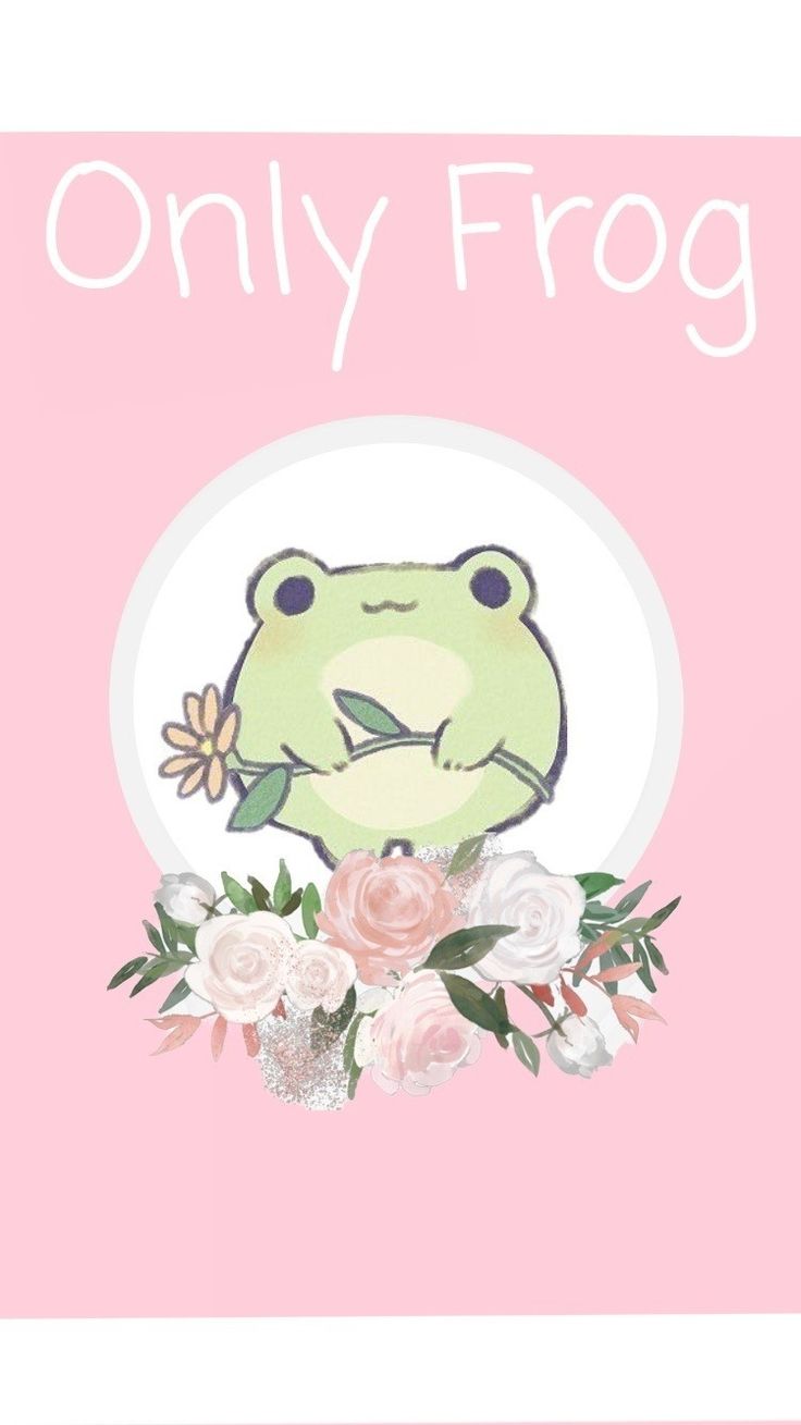 Funny Frogs Wallpapers