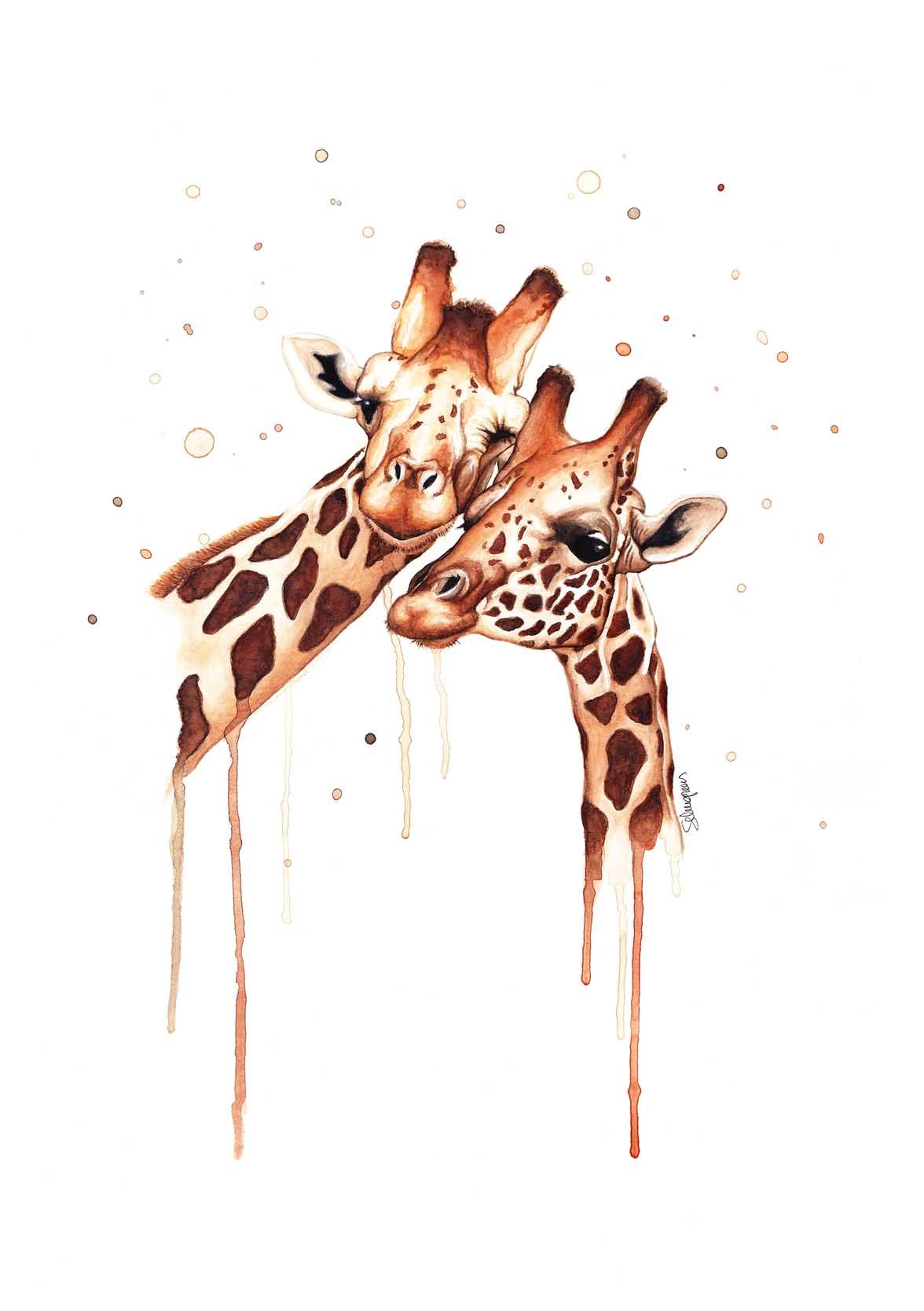 Funny Giraffe Wallpapers