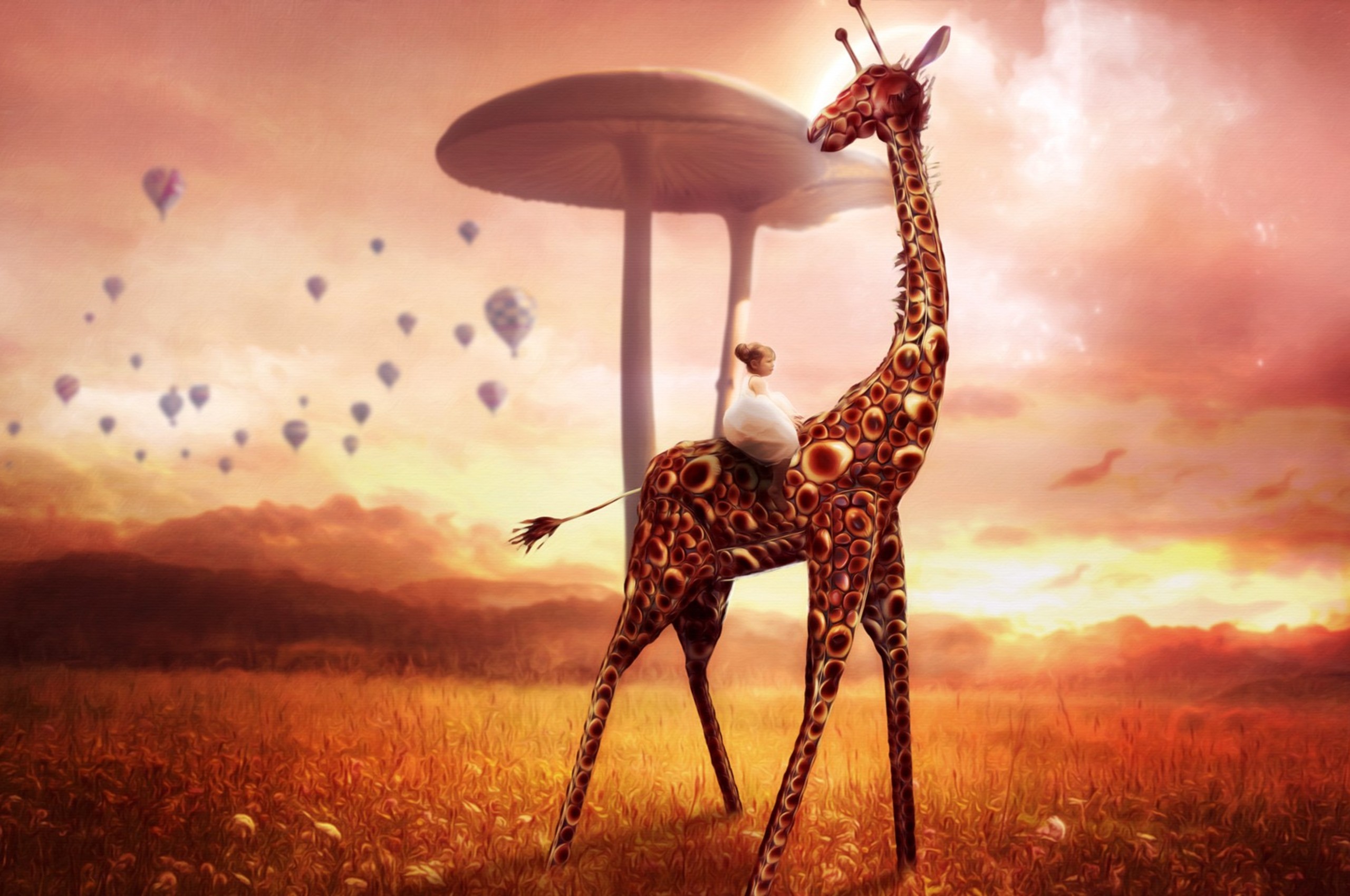 Funny Giraffe Wallpapers