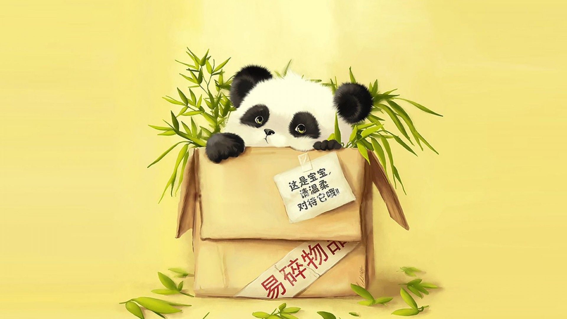 Funny Panda Wallpapers