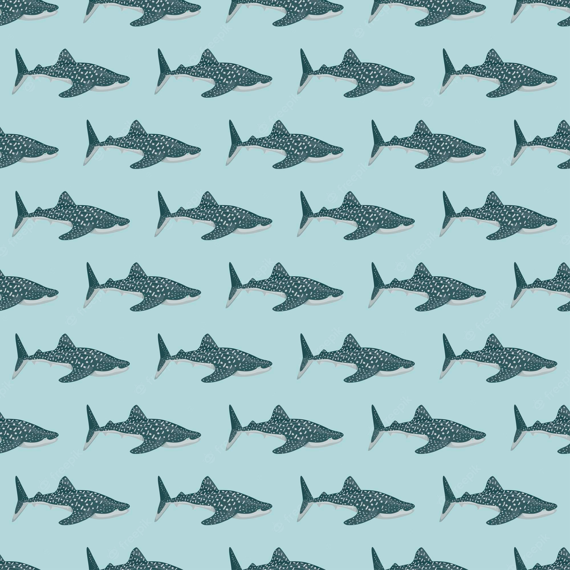 Funny Shark Wallpapers