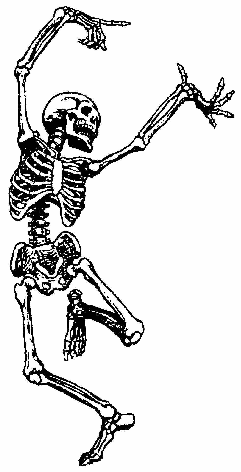 Funny Skeleton Wallpapers