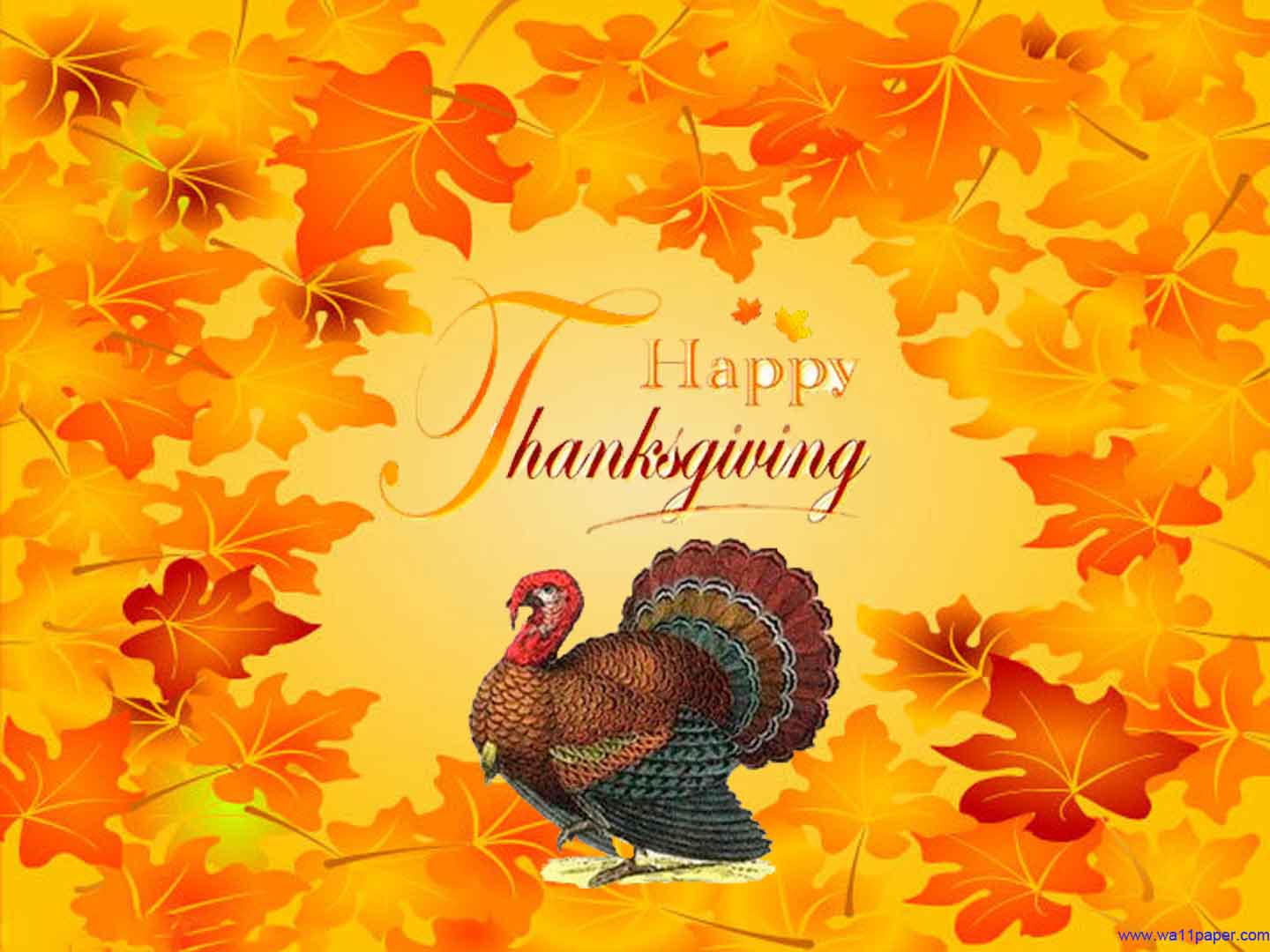 Funny Thanksgiving Wallpapers