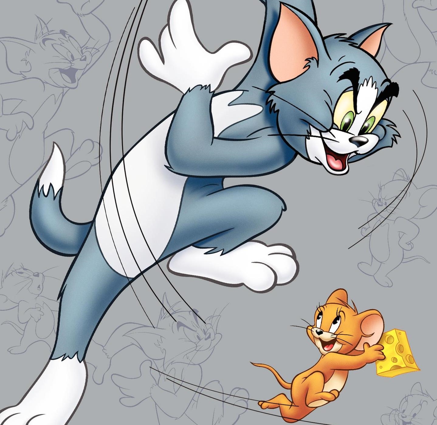 Funny Tom And Jerry Pictures Wallpapers