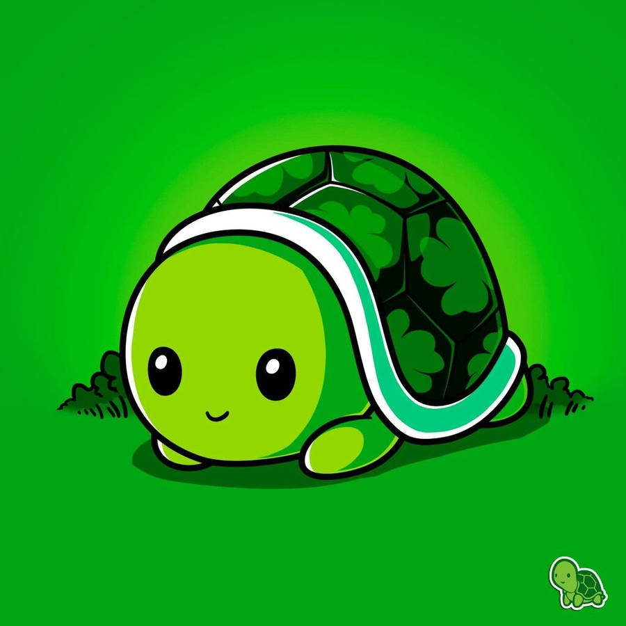 Funny Turtle Wallpapers