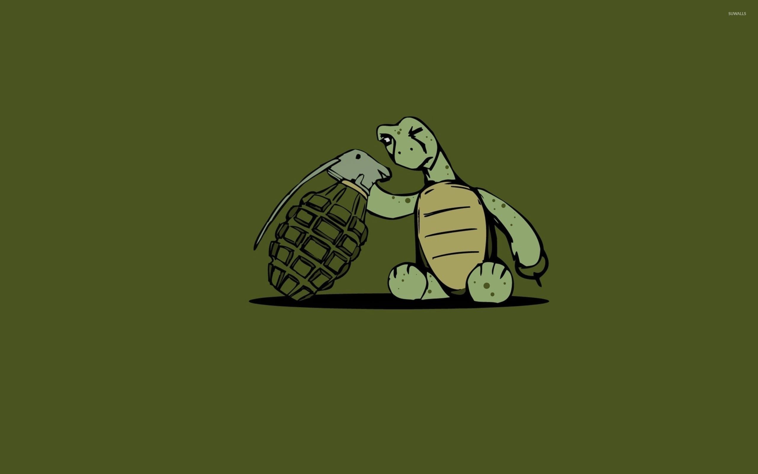 Funny Turtle Wallpapers