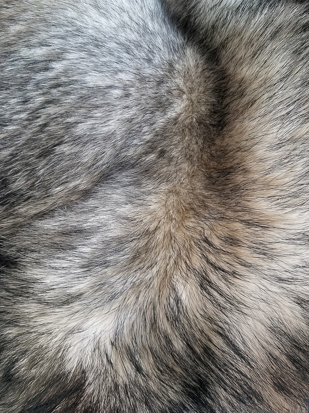 Fur Wallpapers