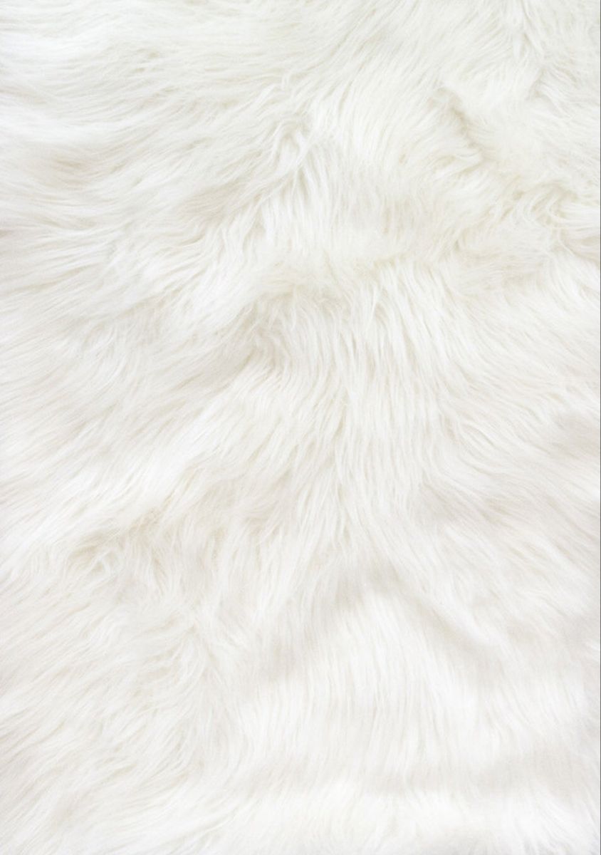 Fur Wallpapers