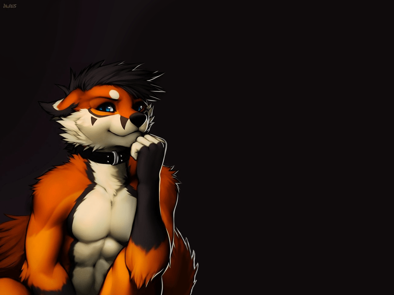 Furry Wallpapers