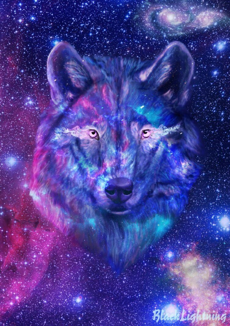 Galaxy Animal Wallpapers