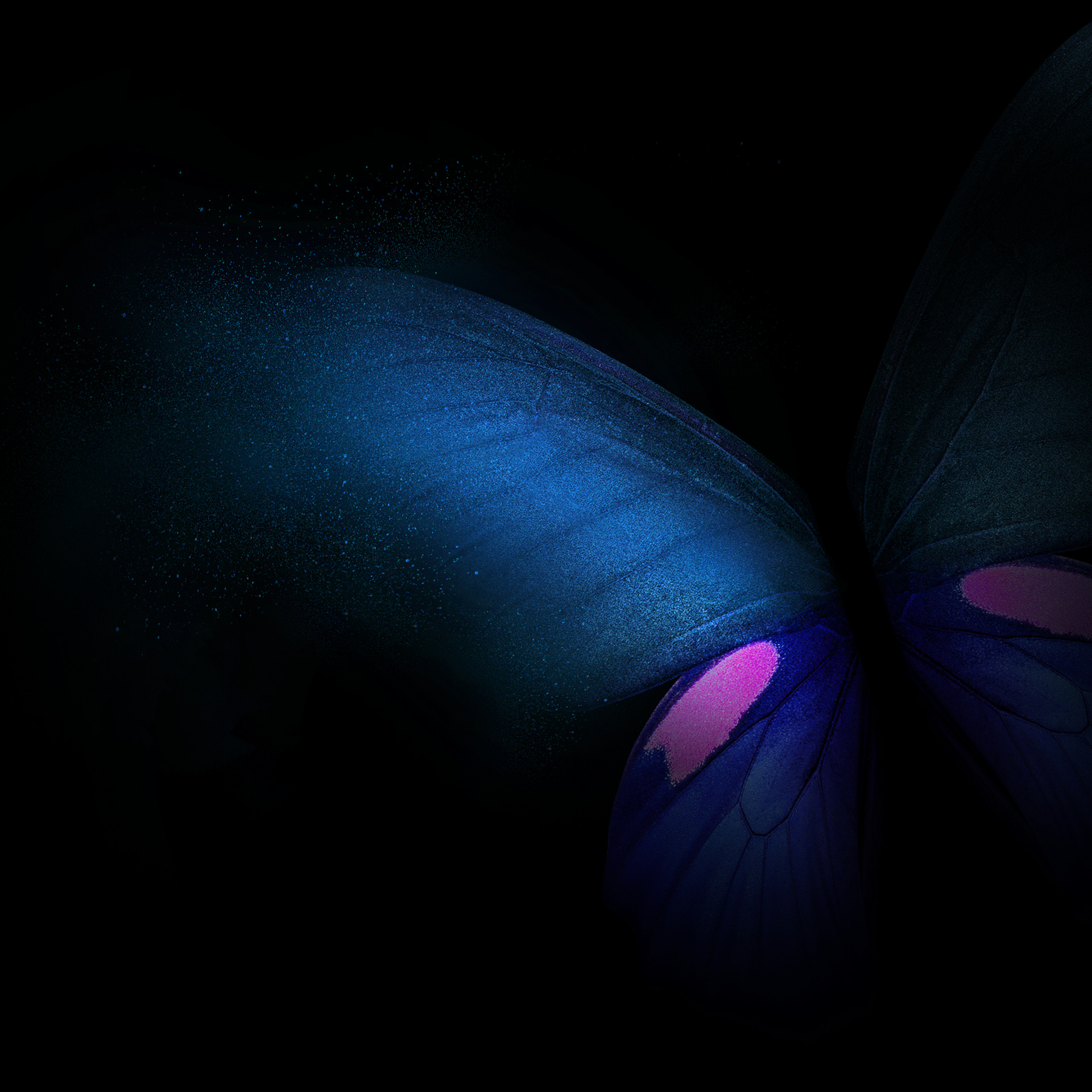 Galaxy Butterfly Wallpapers