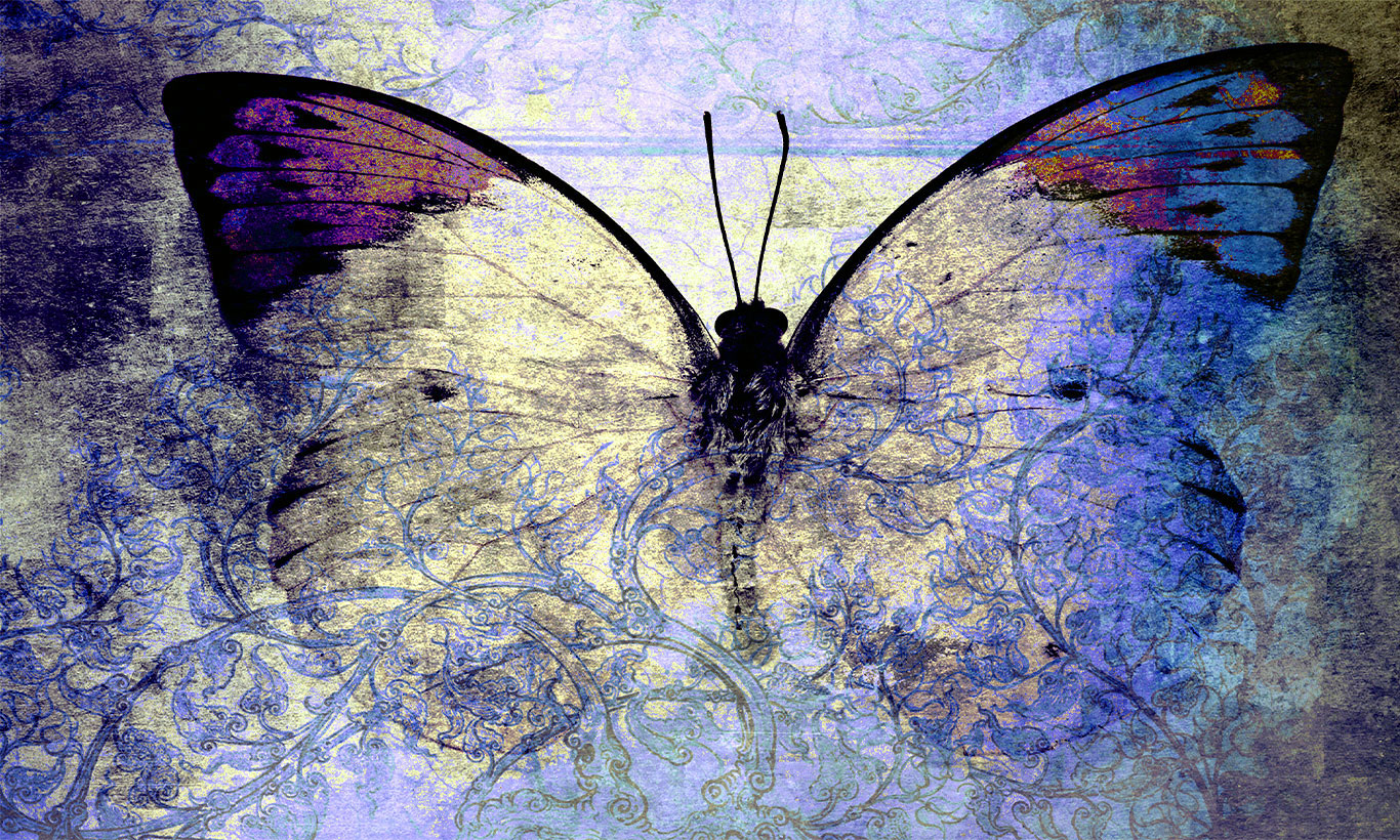 Galaxy Butterfly Wallpapers