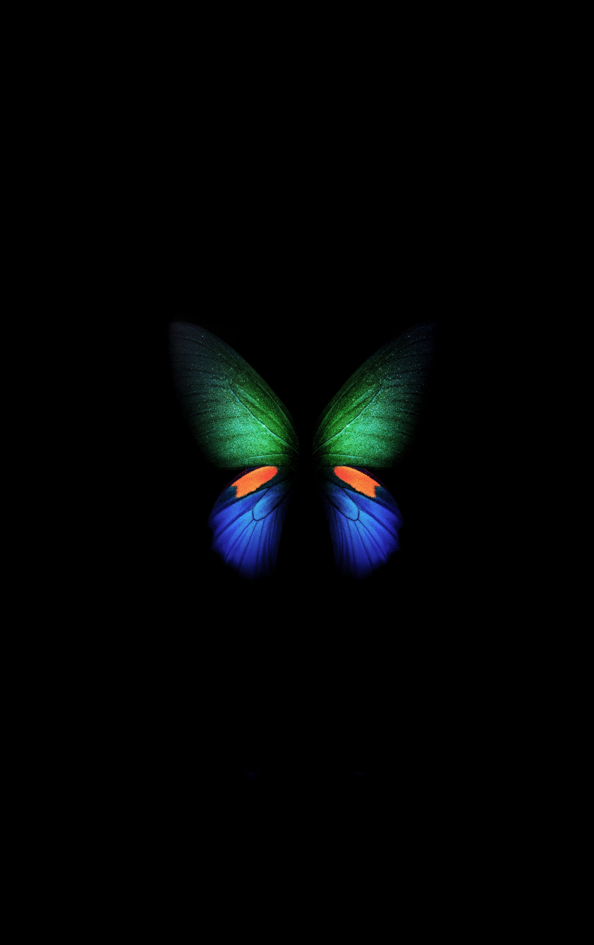 Galaxy Butterfly Wallpapers