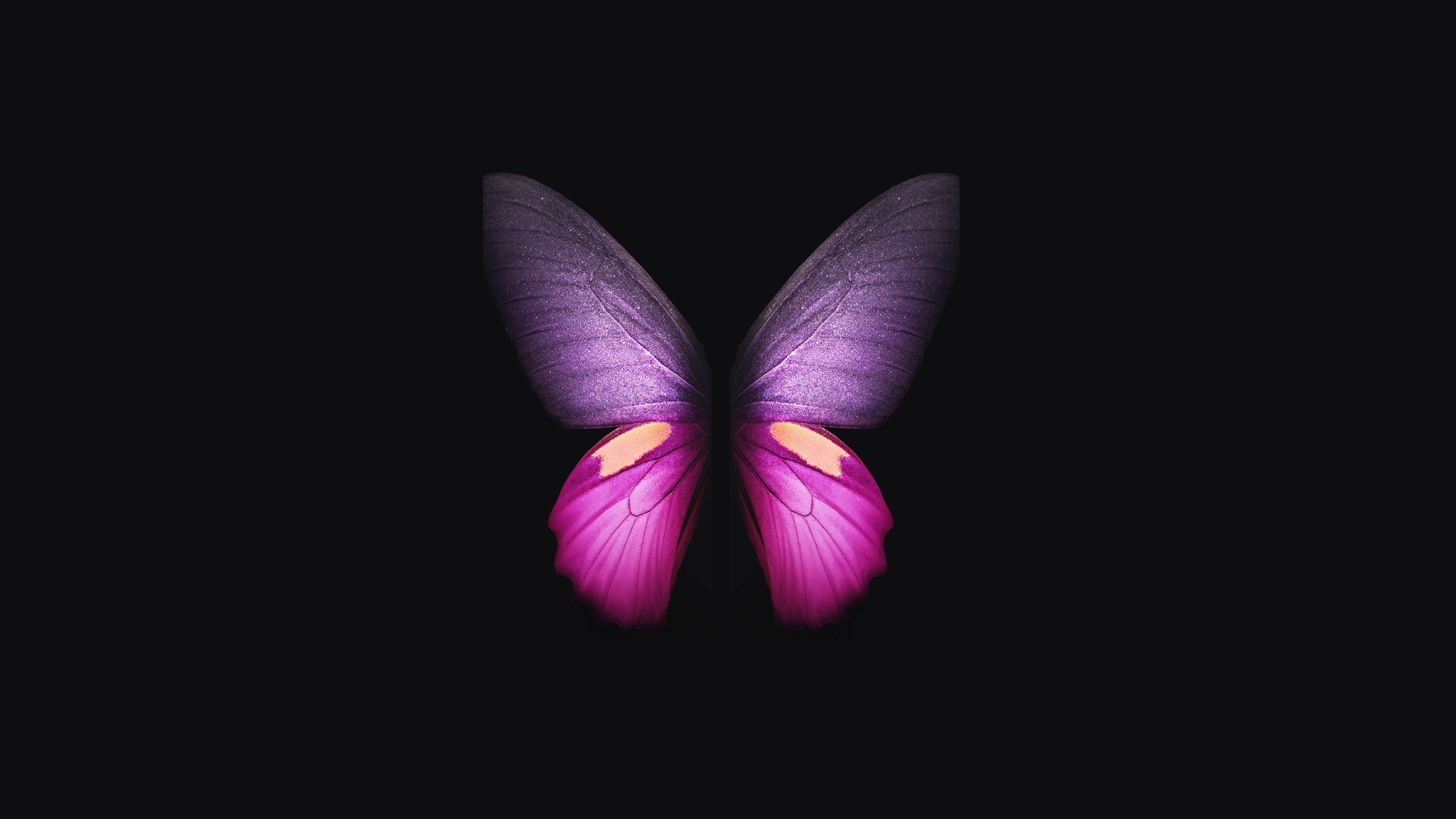 Galaxy Butterfly Wallpapers