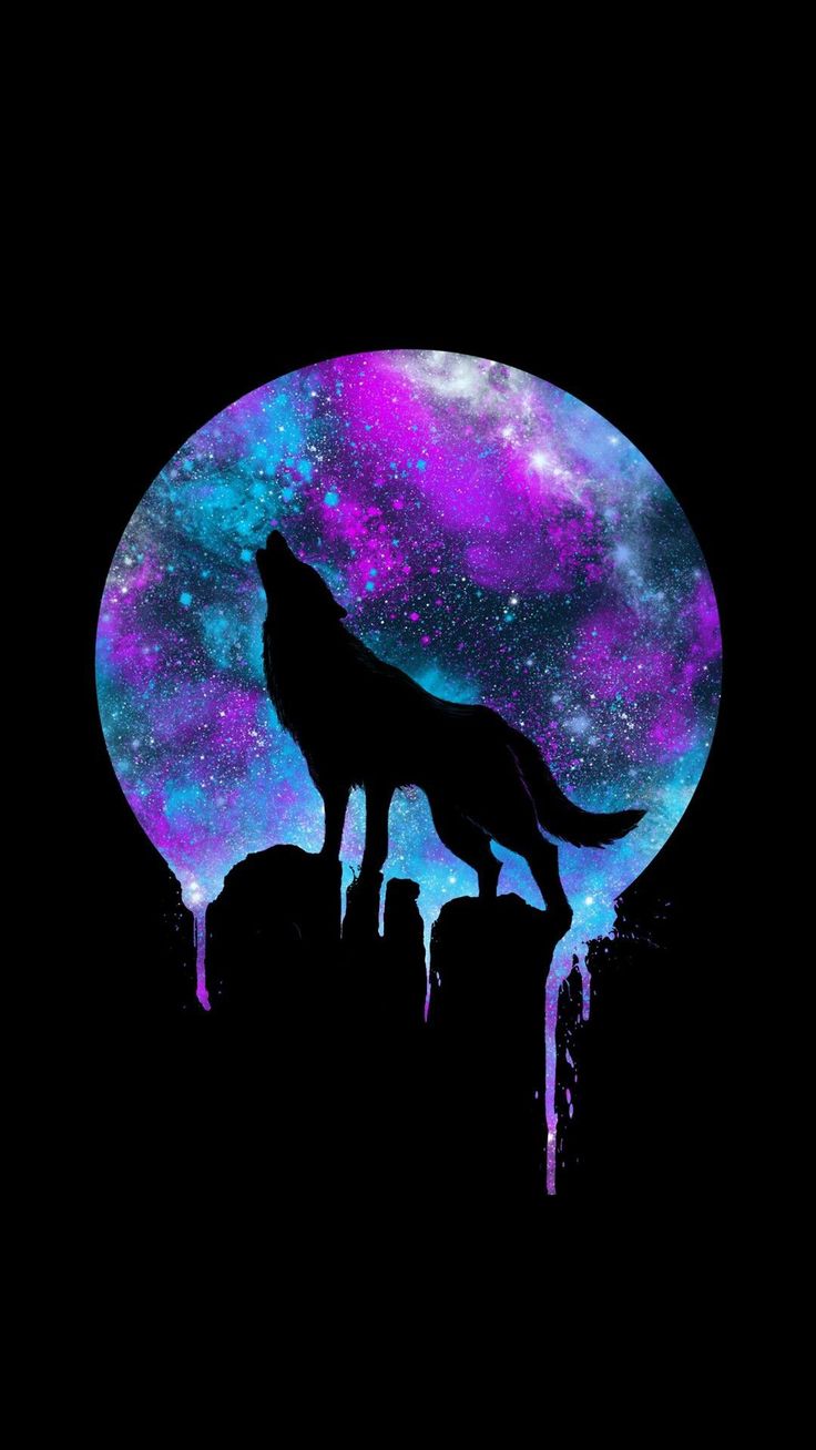 Galaxy Cute Wolf Drawings Wallpapers