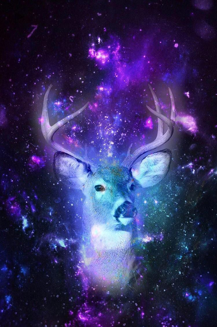 Galaxy Deer Wallpapers