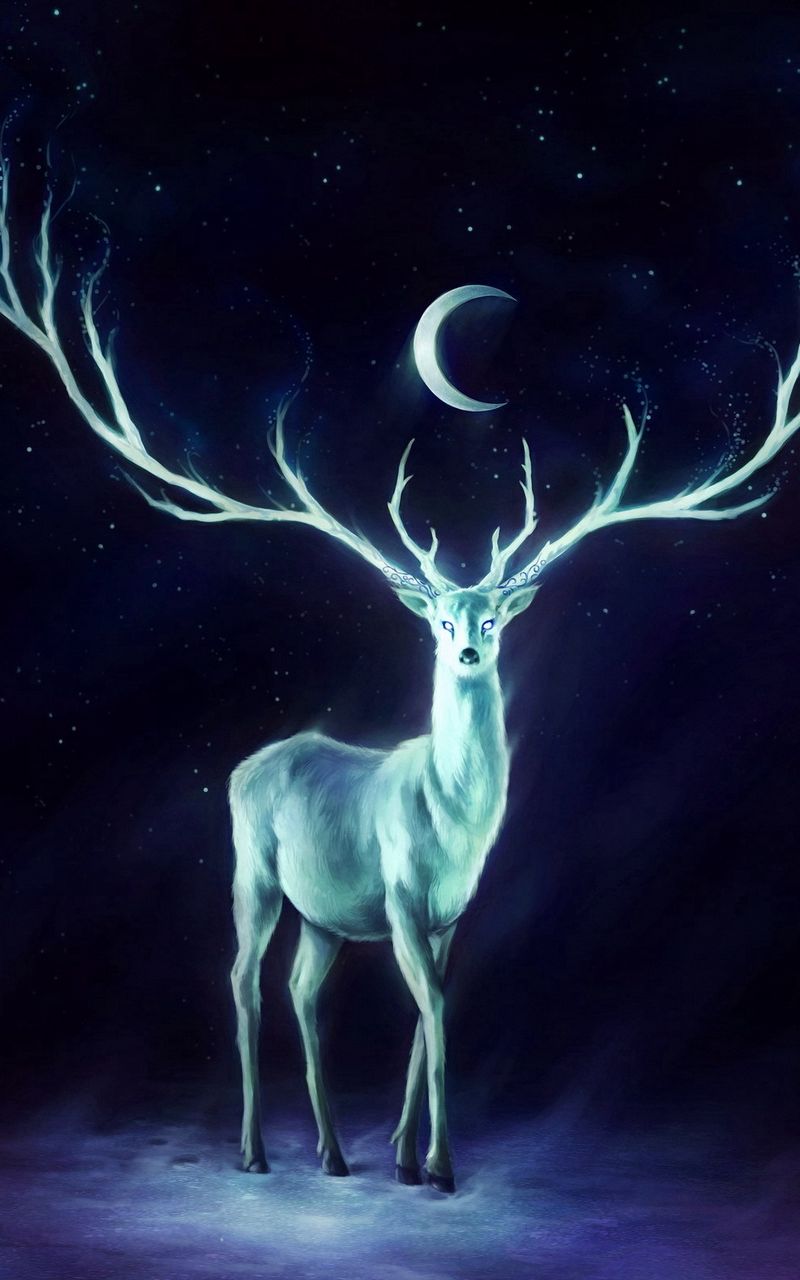 Galaxy Deer Wallpapers