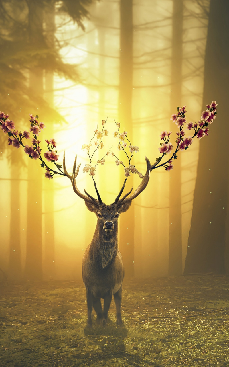 Galaxy Deer Wallpapers