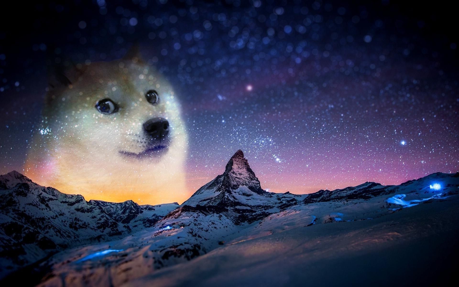 Galaxy Dog Wallpapers