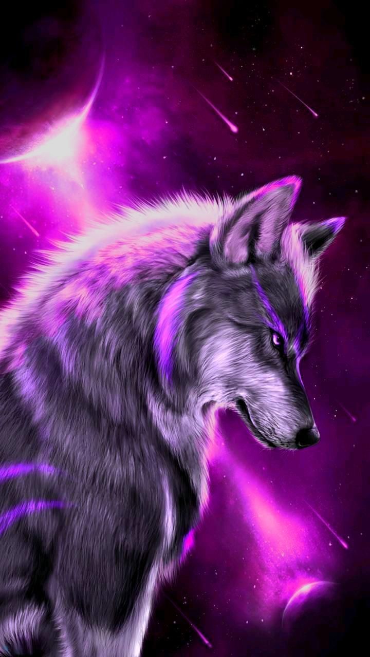 Galaxy Dog Wallpapers