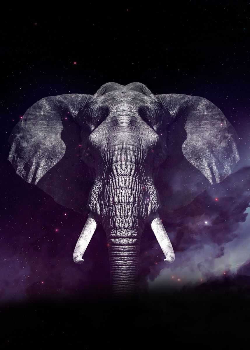 Galaxy Elephant Wallpapers