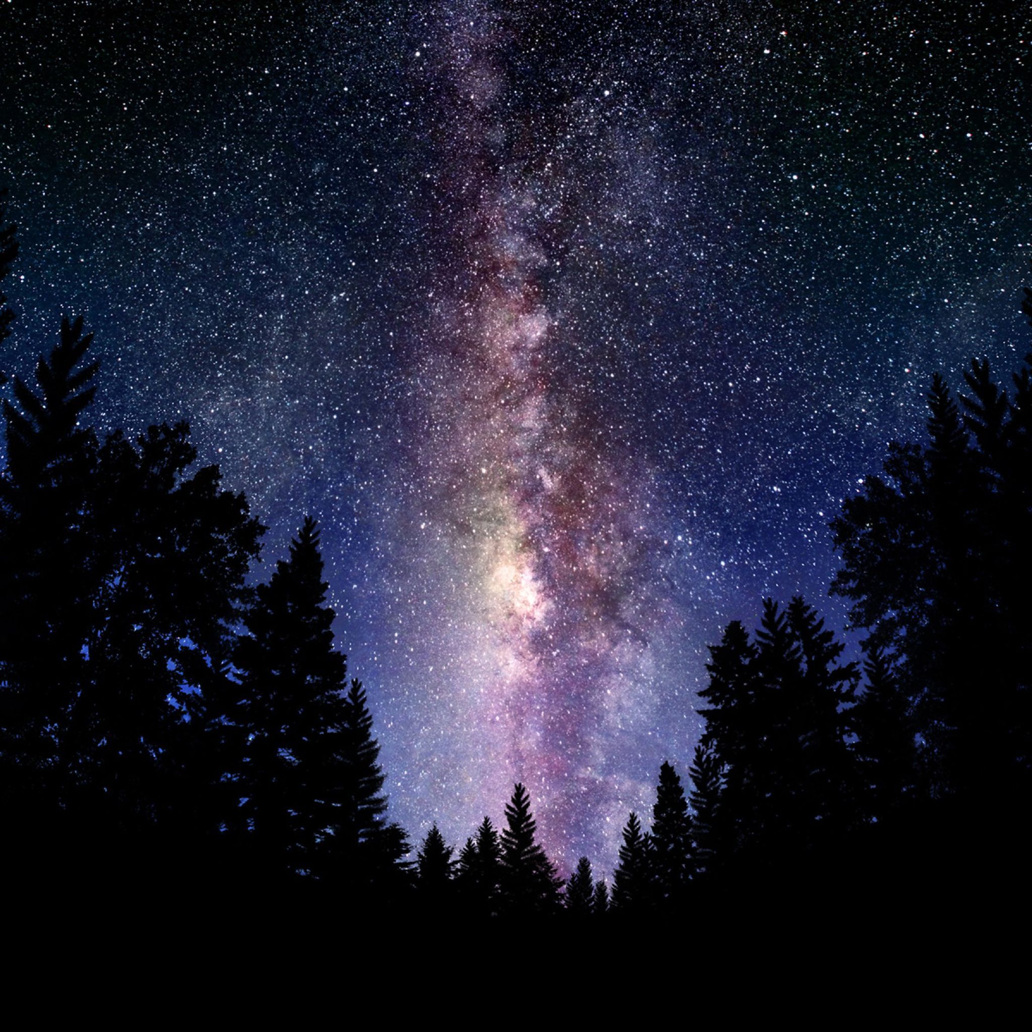 Galaxy Forest Wallpapers