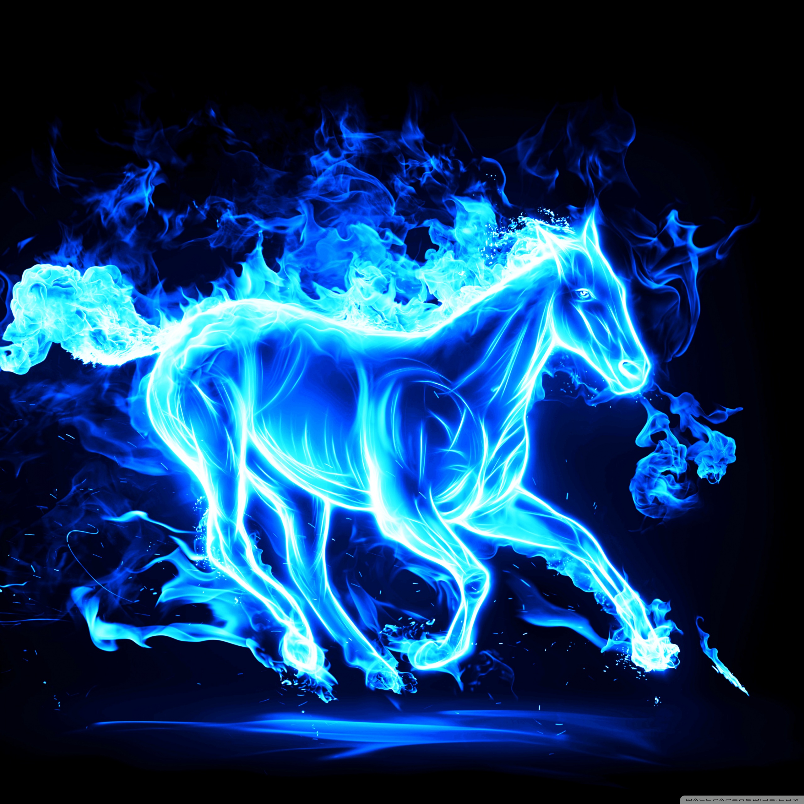 Galaxy Horse Wallpapers