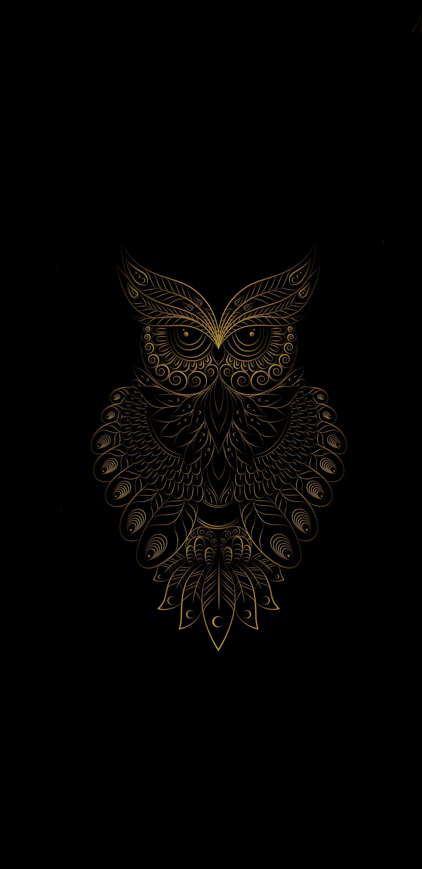 Galaxy Owl Wallpapers