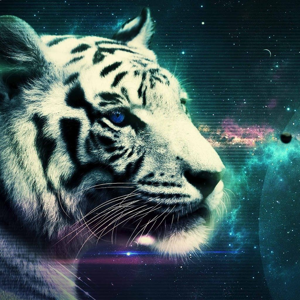 Galaxy Tiger Wallpapers