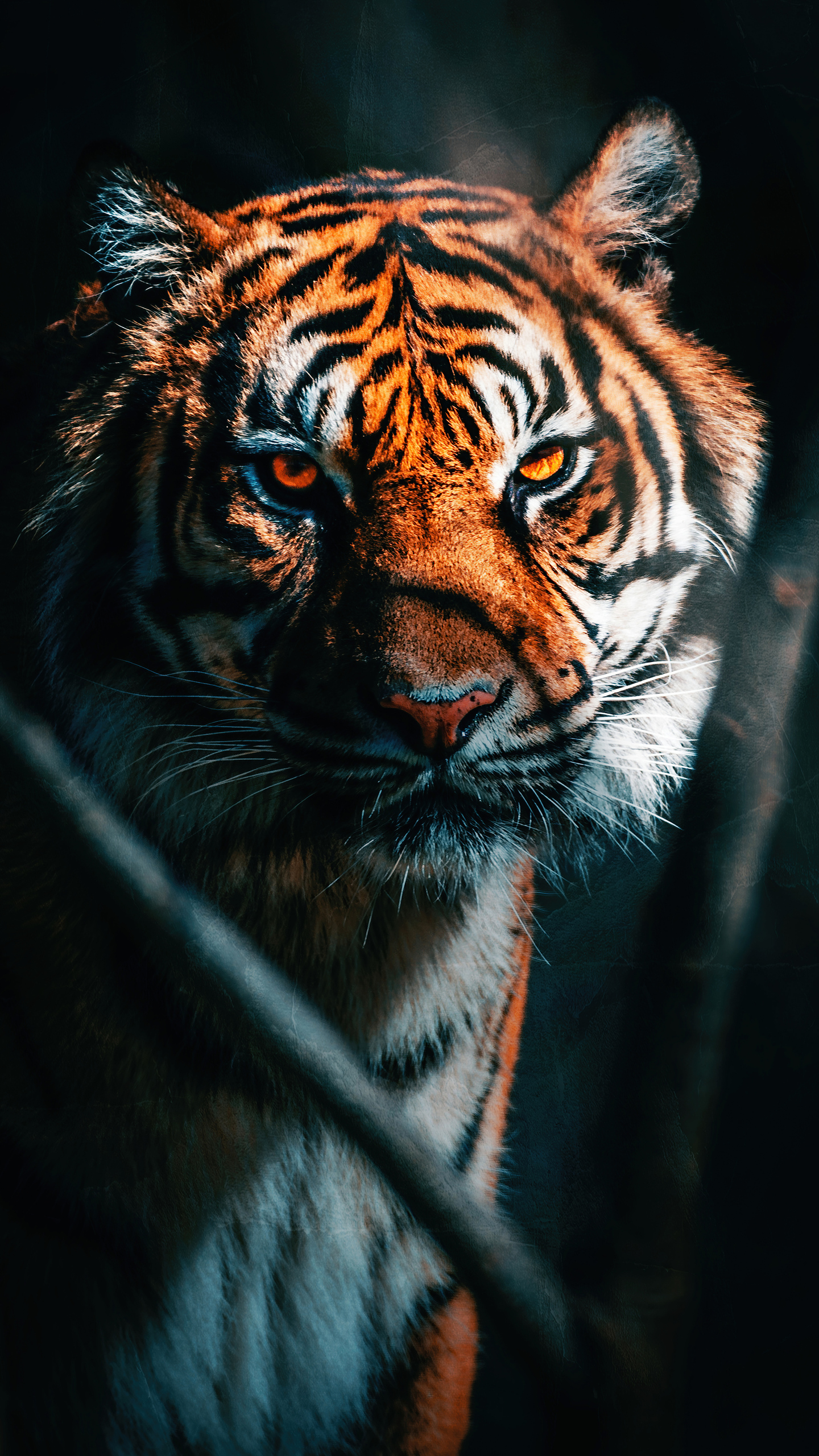 Galaxy Tiger Wallpapers