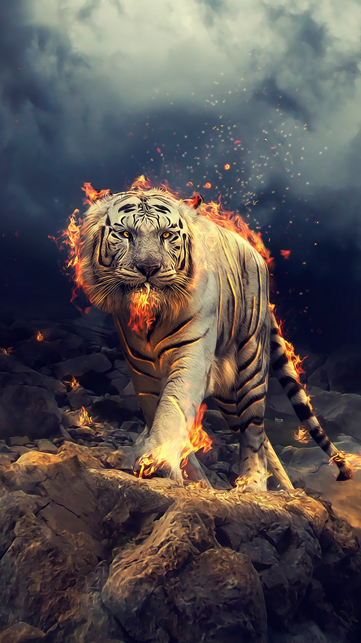 Galaxy Tiger Wallpapers