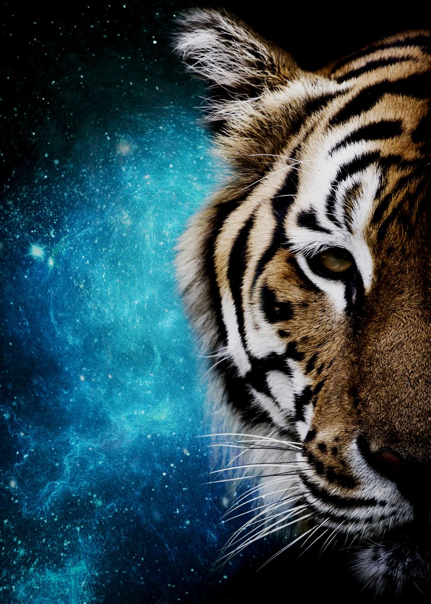 Galaxy Tiger Wallpapers - Most Popular Galaxy Tiger Wallpapers ...