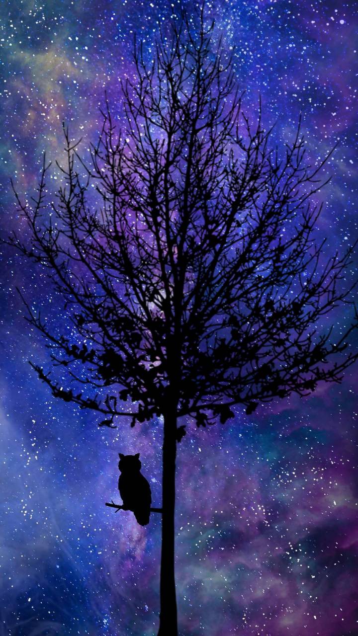 Galaxy Tree Wallpapers