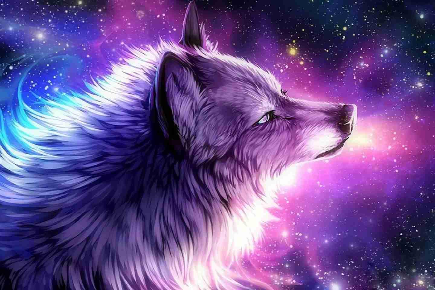 Galaxy Wolf Cool Wallpapers