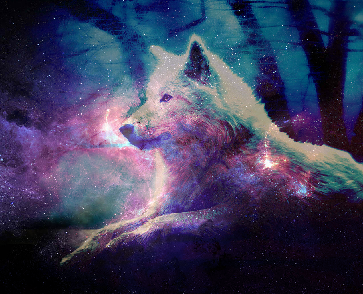 Galaxy Wolf Cool Wallpapers