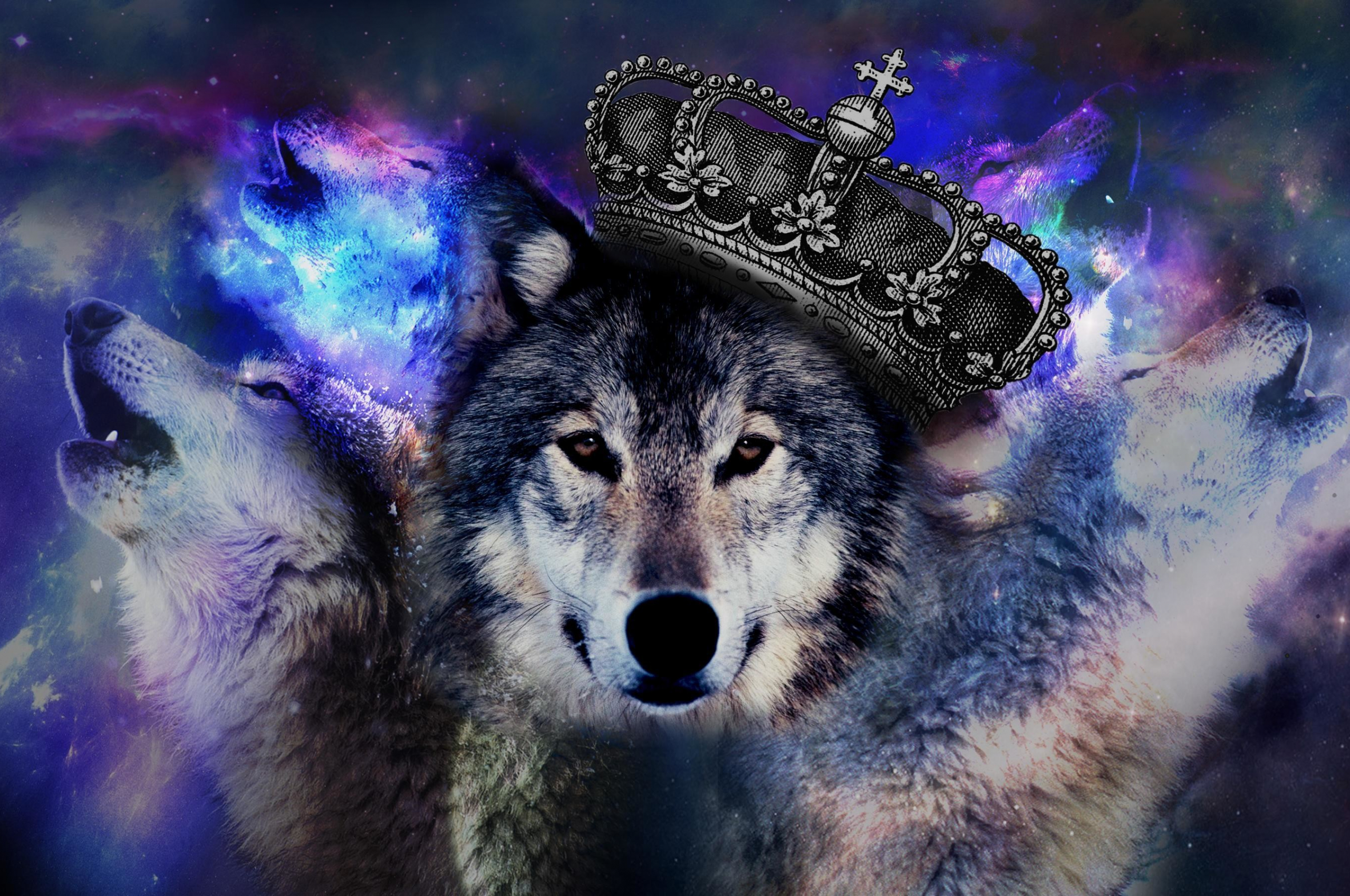 Galaxy Wolf Cool Wallpapers