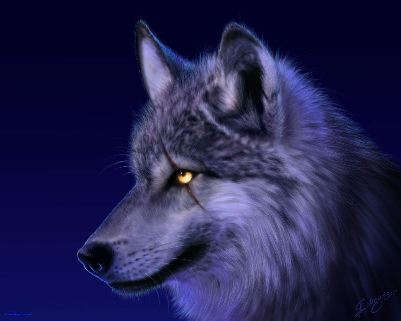 Galaxy Wolf Cool Wallpapers