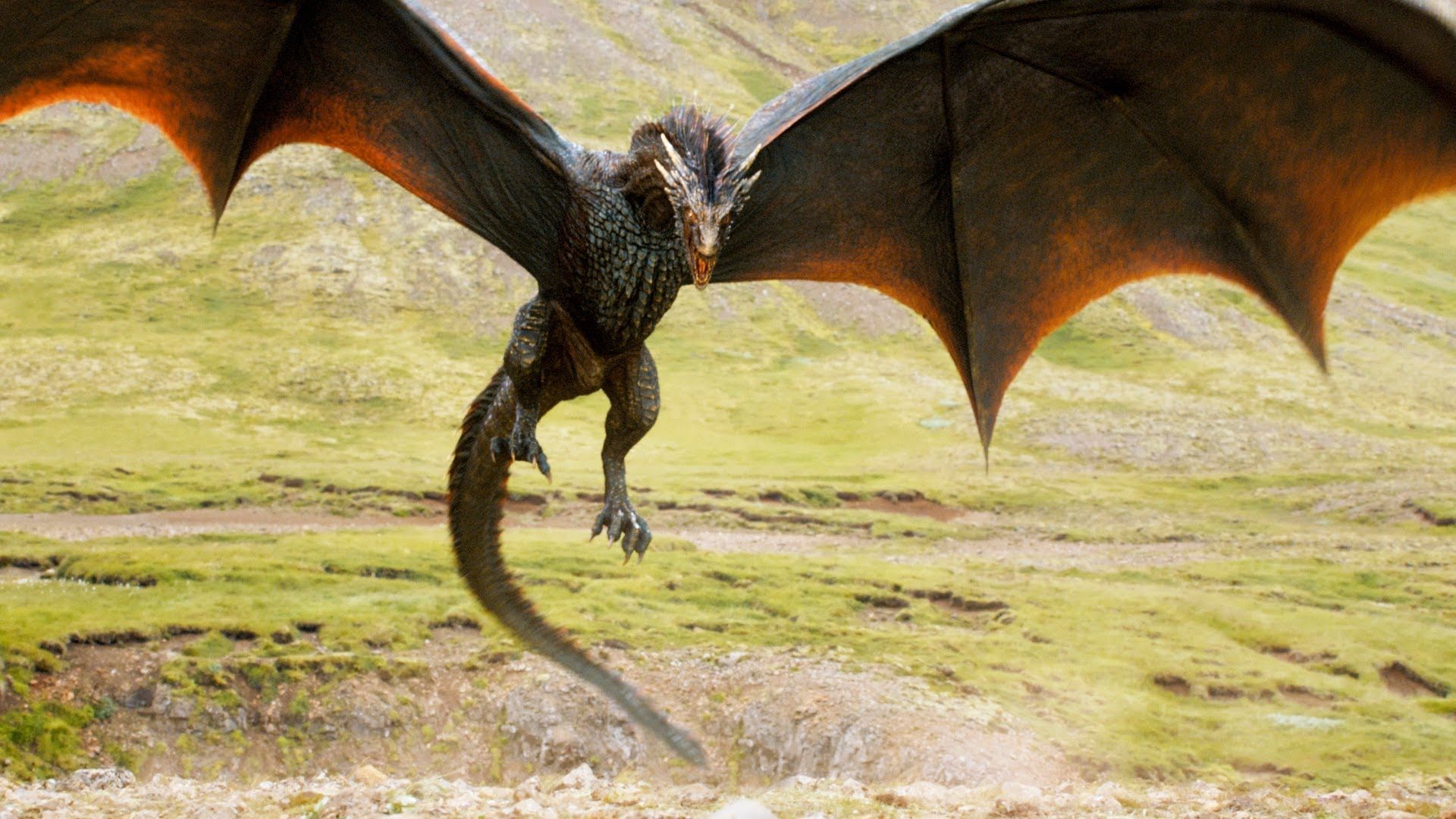 Game Of Thrones Dragon Wallpapers