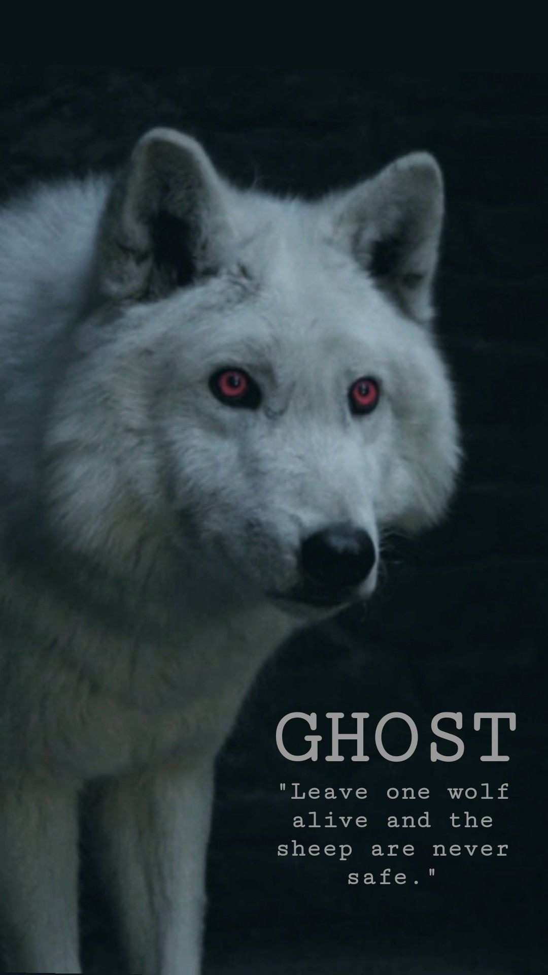 Game Of Thrones Ghost Wallpapers