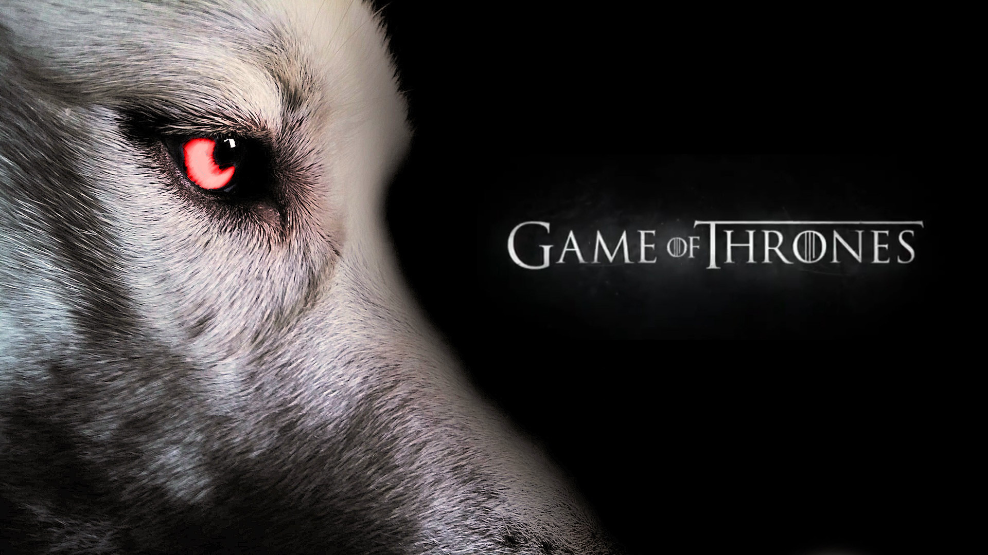 Game Of Thrones Ghost Wallpapers