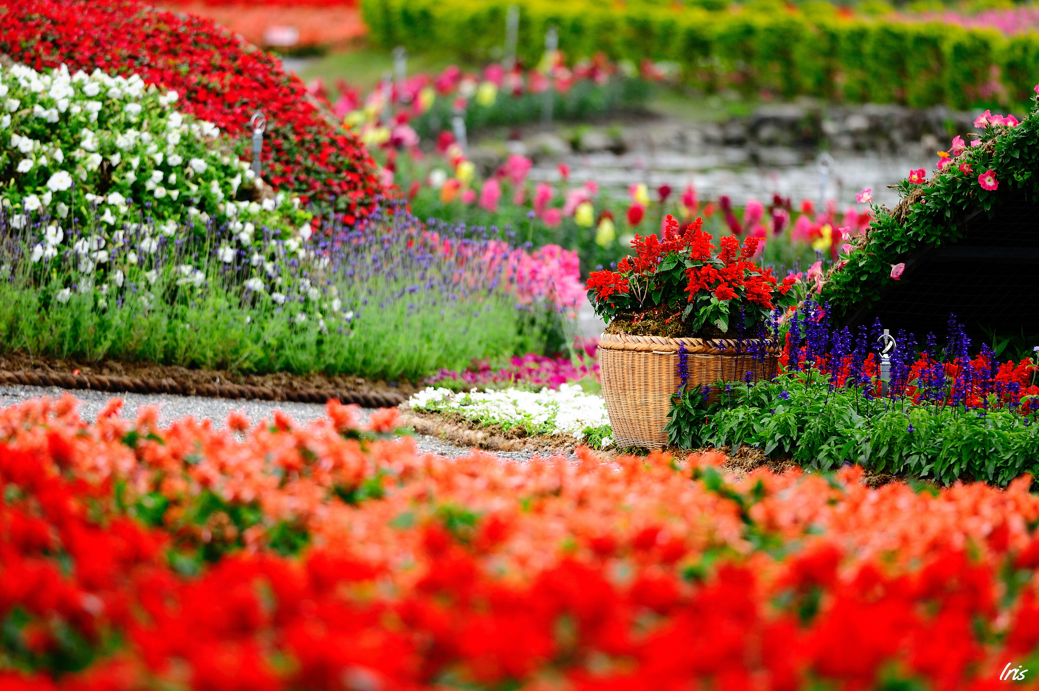 Gardening Wallpapers