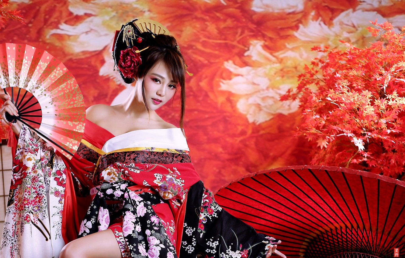 Geisha Wallpapers