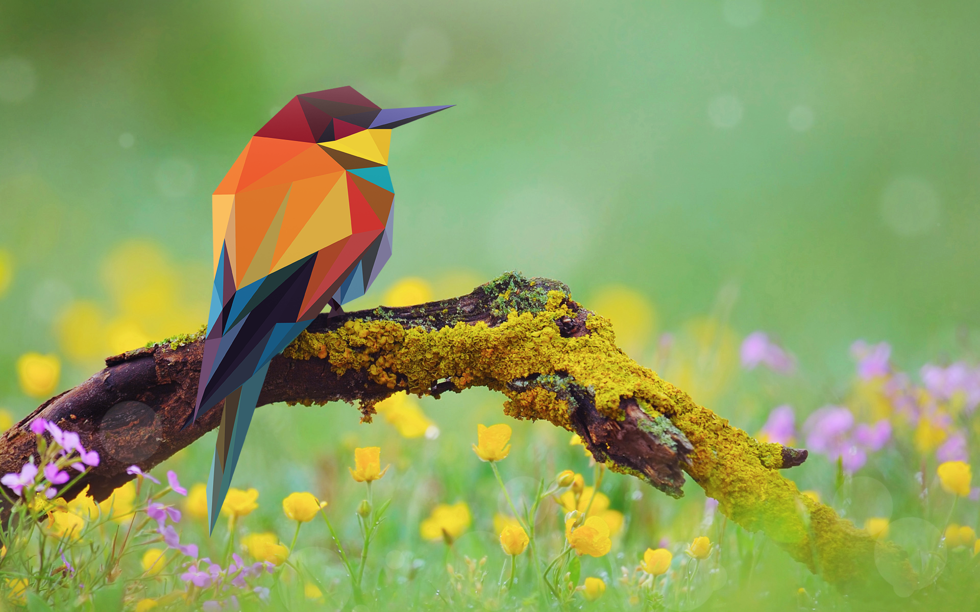 Geometric Bird Wallpapers