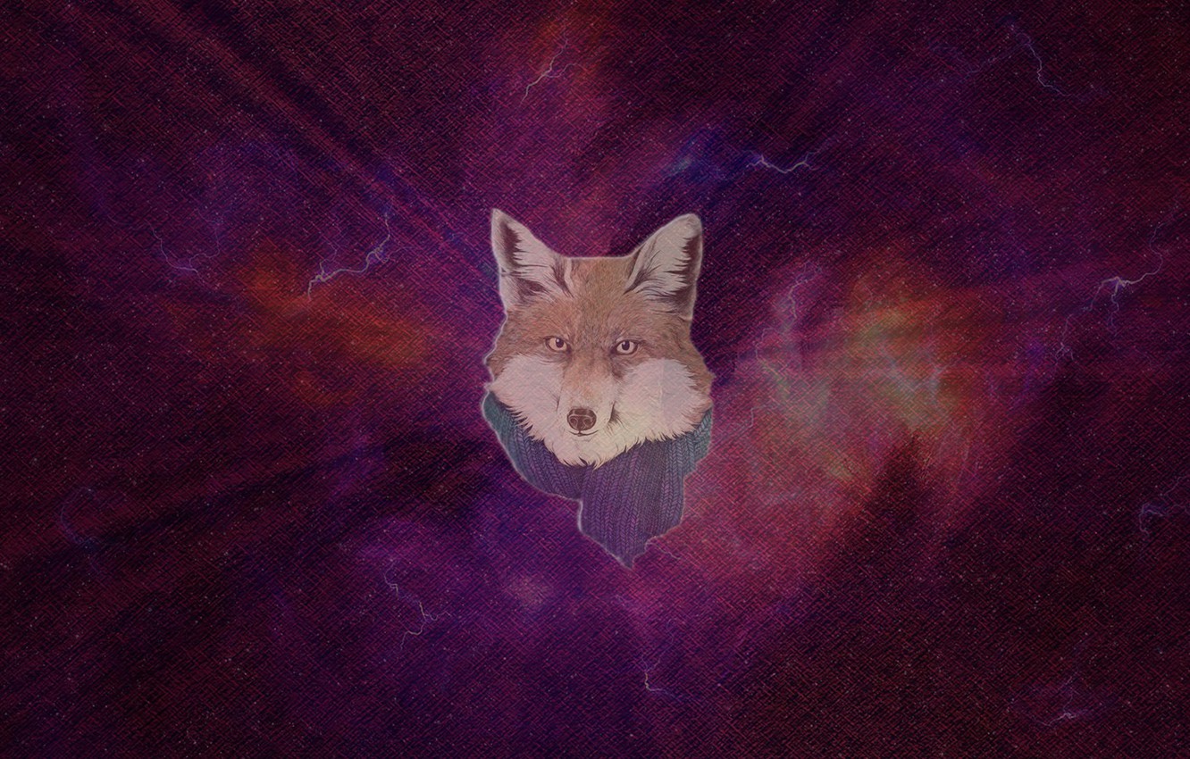 Geometric Fox Wallpapers