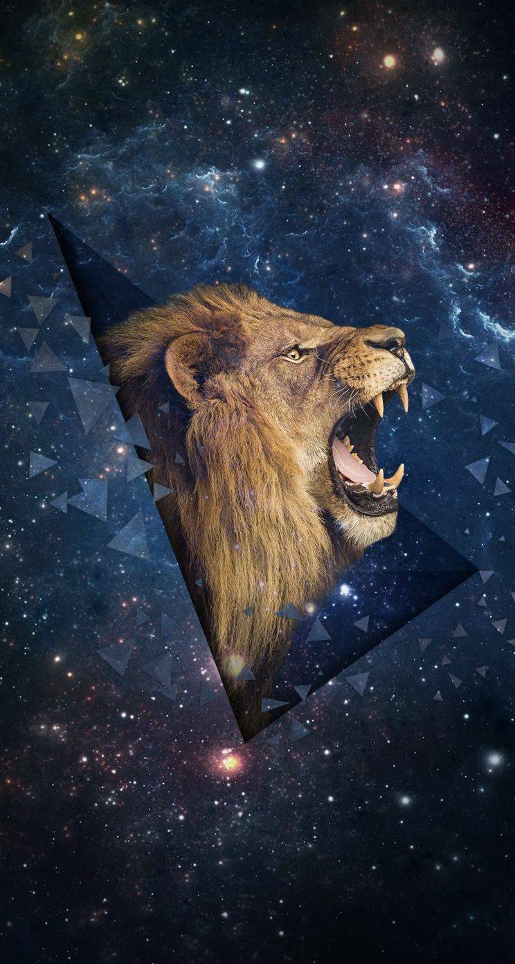 Geometric Lion Wallpapers