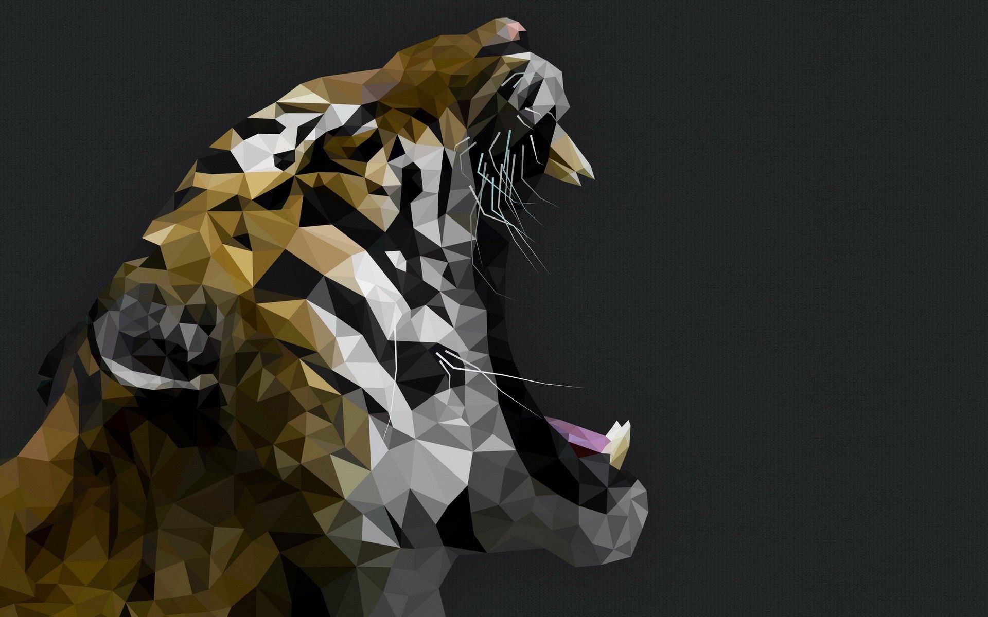 Geometric Tiger Wallpapers